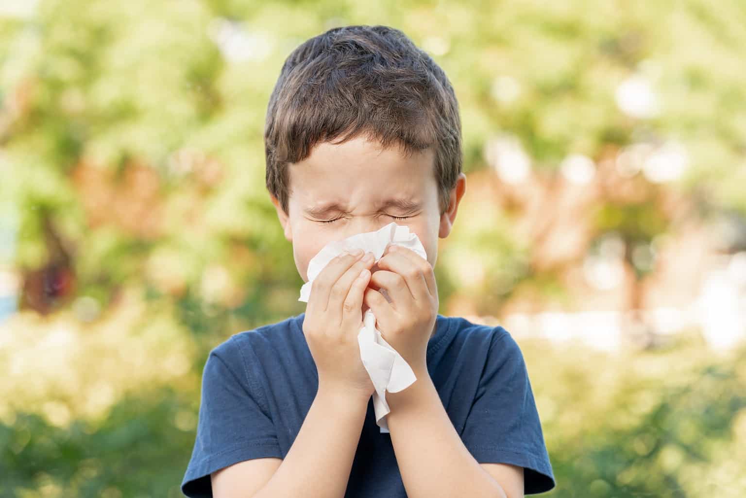 Know the difference between hay fever and a cold as Met Eireann warn of high pollen count this weekend