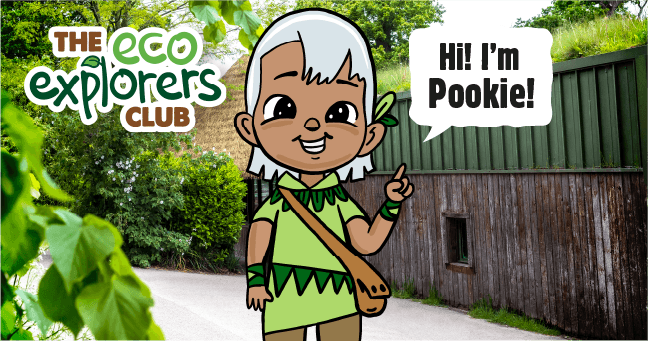 Meet Pookie, Dublin Zoo’s sustainability ambassador on a very special mission