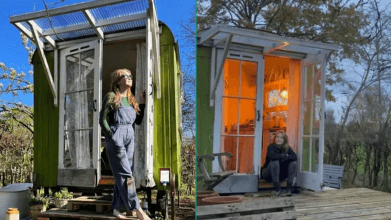 ‘I live in a shed in my parents’ garden which I bought for €1,800’