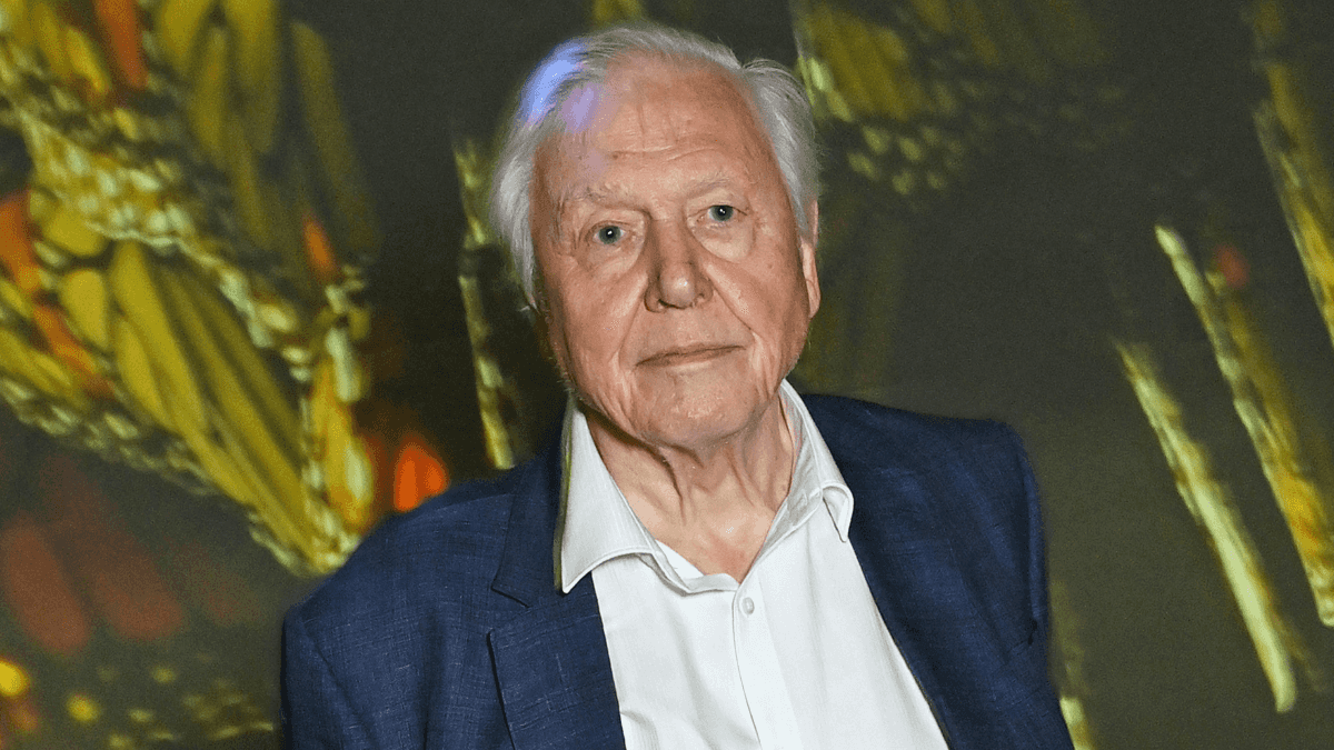 David Attenborough says he is ‘approaching the end of his life’