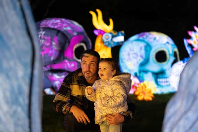 Dublin Zoo’s Wild Lights is back – Here’s everything you need to know