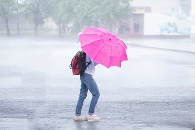 Status yellow warnings issued for seven counties as rain and wind sweep in