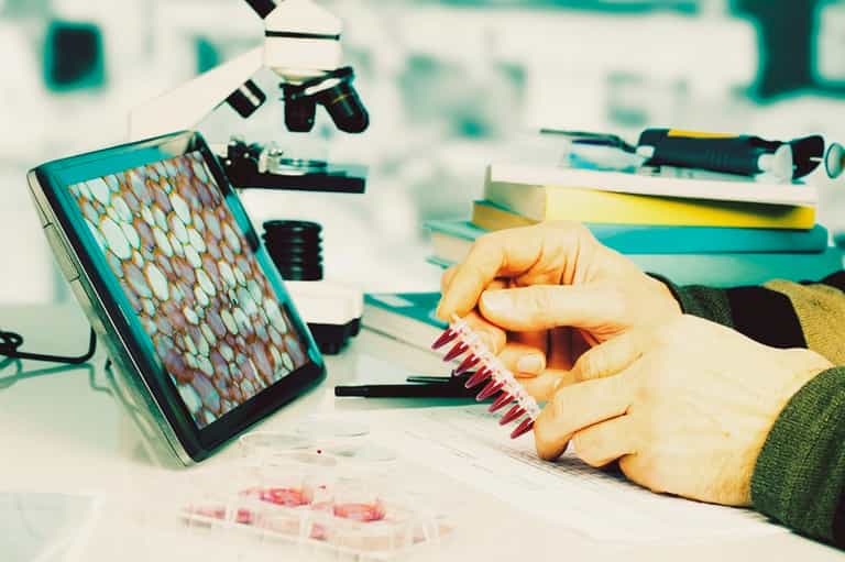 Malaria protein could be key to curing cancer for good Malaria protein could be key to curing cancer for good