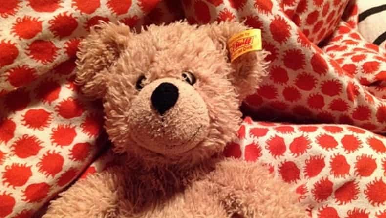 Have YOU seen this very special teddy bear?