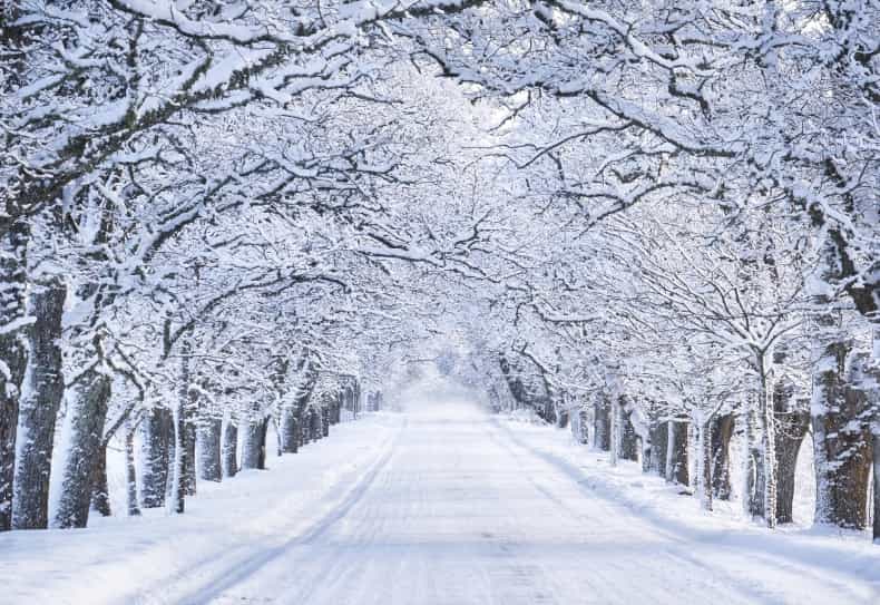 Tá se ag cur sneachta! The best reactions to today’s weather