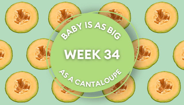 Your baby at 34 weeks pregnant: Week-by-week guide to development Your baby at 34 weeks pregnant: Week-by-week guide to development