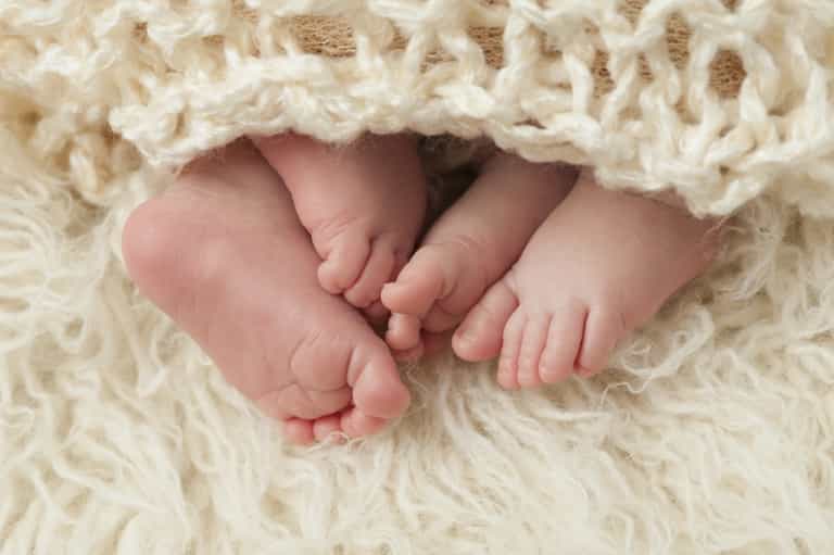 Absolute Hero Gives Birth To Six Babies in TWO YEARS Absolute Hero Gives Birth To Six Babies in TWO YEARS