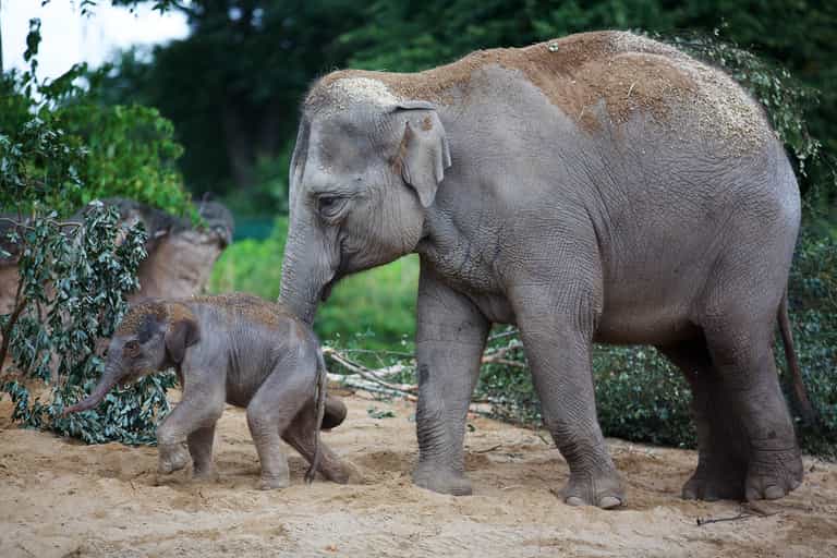 RTÉ’s hugely popular The Zoo is returning to our screens this weekend RTÉ’s hugely popular The Zoo is returning to our screens this weekend
