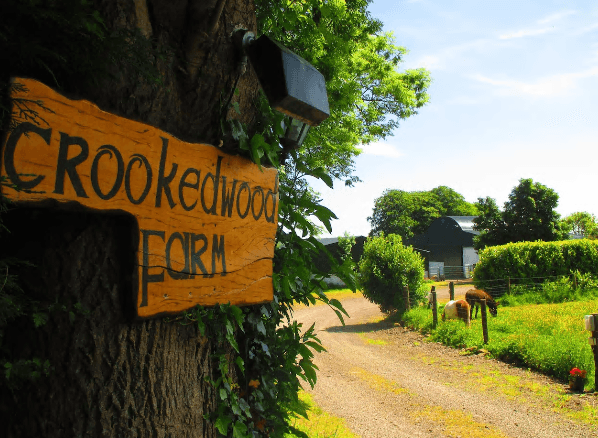 Seven picturesque working farms you and your family can stay at across Ireland Seven picturesque working farms you and your family can stay at across Ireland