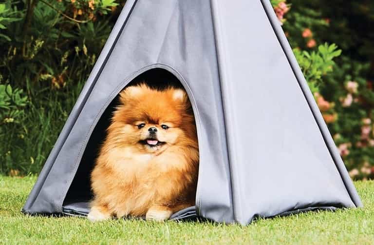 Aldi is selling the cutest outdoor teepee for your dog Aldi is selling the cutest outdoor teepee for your dog