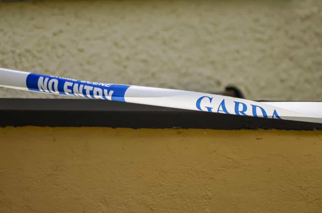 Gardaí fear toddler witnessed brutal attack at home in Blanchardstown