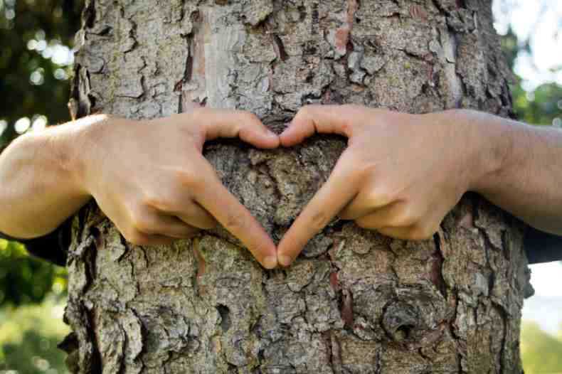Treerific: This week we are celebrating tree love