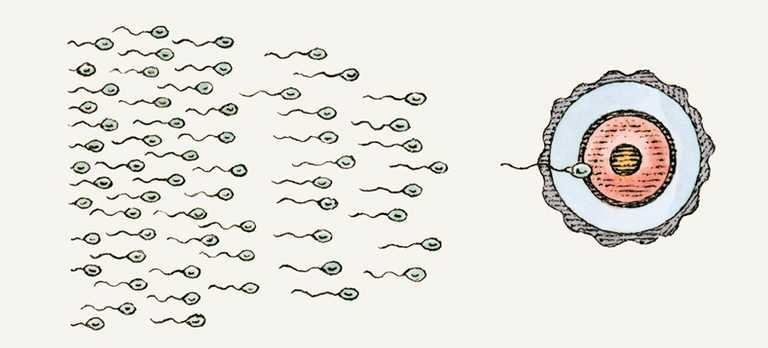 Sperm killers: 8 things that are hazardous to sperm health