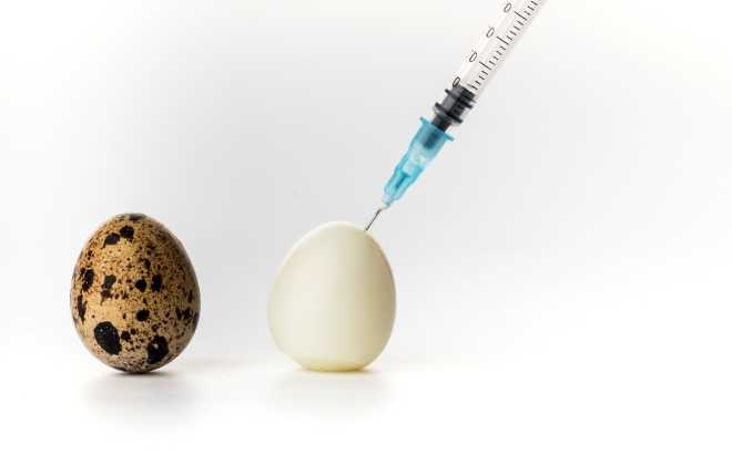 Fresh or Frozen: The difficult debate for IVF