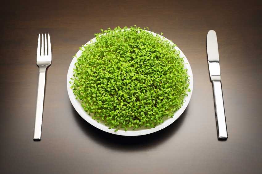 Science says there are only TWO diets that really work