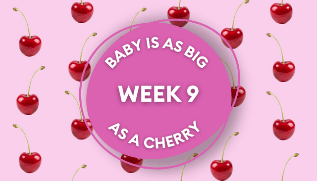 Your baby at 9 weeks pregnant: Week-by-week guide to development