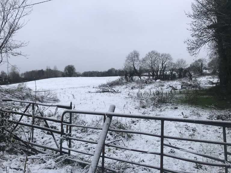 The latest forecasts suggests snow could be on the way next