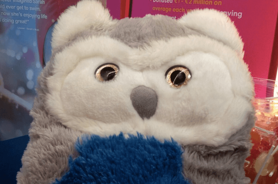 Crumlin’s Children’s Hospital want to reunite owl teddy with their owner