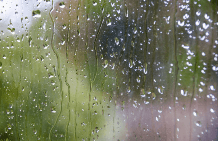 The weather forecast for today is looking as bleak as ever