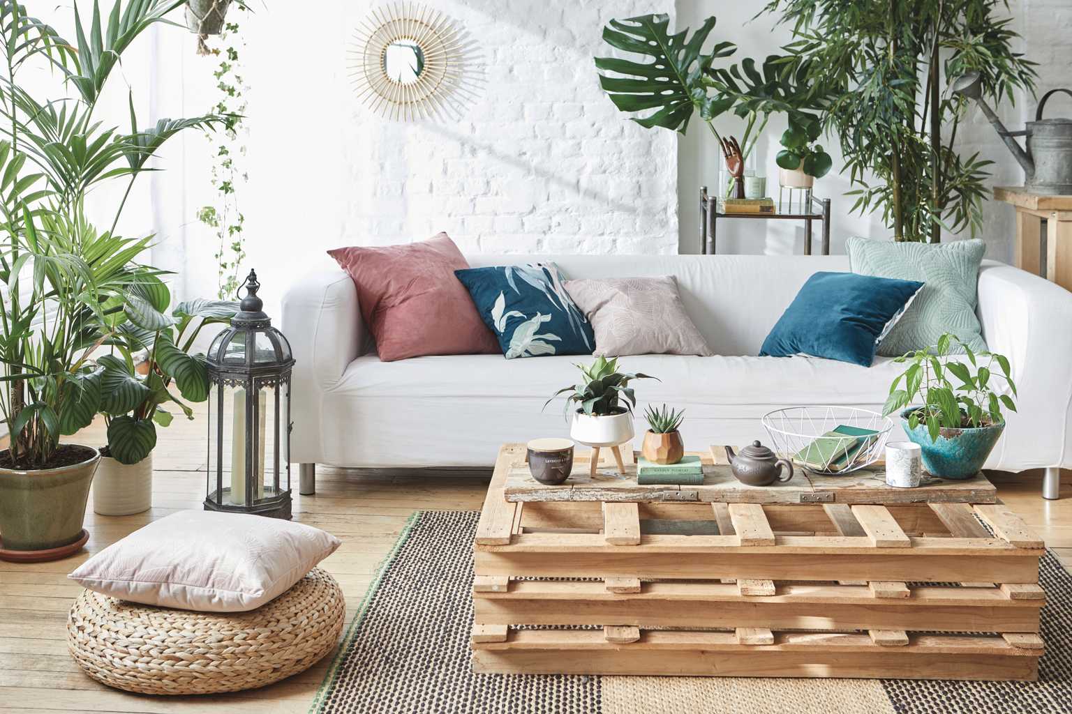 Penneys’ range of cute indoor plants means we can all create Insta-perfect spaces