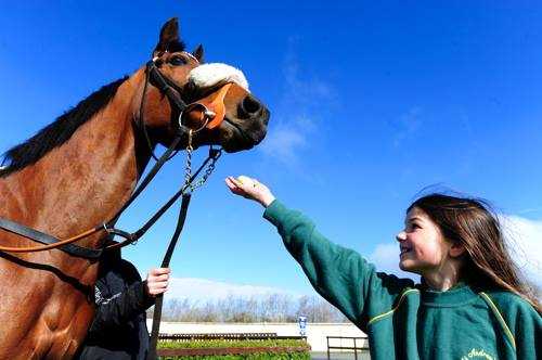 WIN 5 tickets to the Fairyhouse Family Fun Raceday for everyone