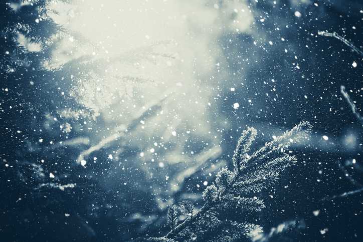 Weather forecast for the coming week likely to give you mixed feelings