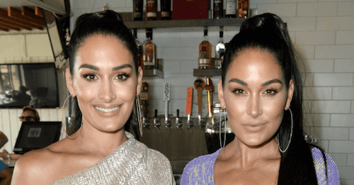 WWE twins Brie and Nikki Bella have both announced they are pregnant – and are due less than two weeks apart