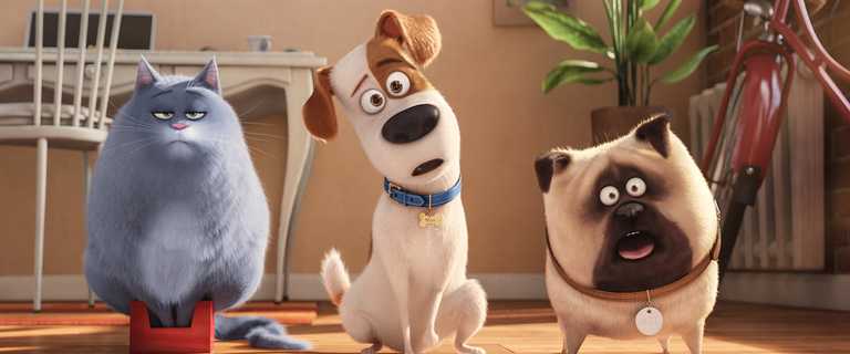 The Secret Life of Pets is on RTÉ One tonight and that’s our Saturday evening sorted