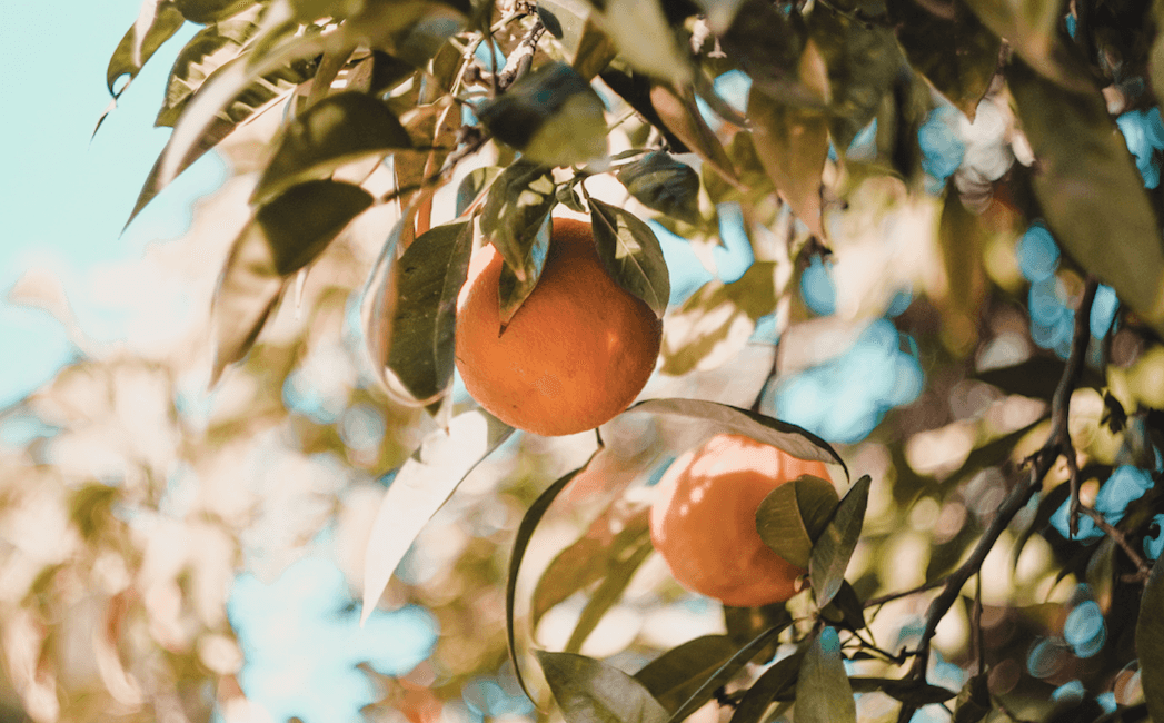 Selfcare Sunday: The easy DIY body scrub that’ll slough off that dry winter skin