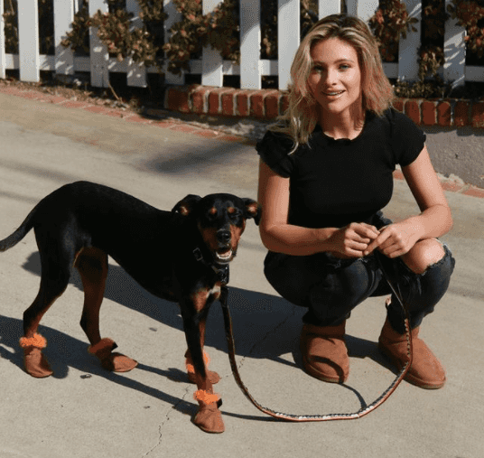 PSA: You can get Ugg boots for your dog now