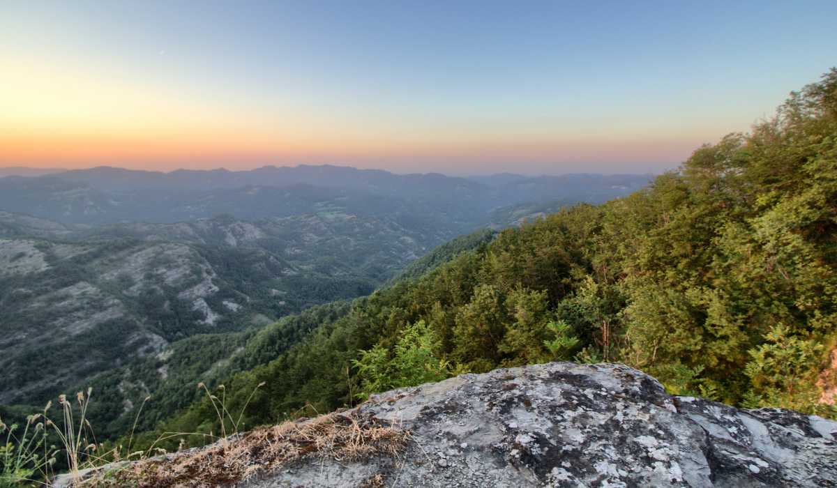 Missing toddler found alive after two nights alone in mountainous woods