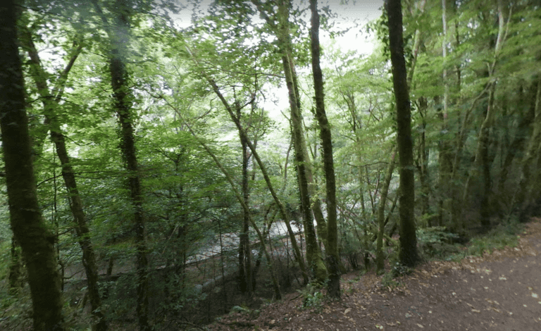 Warning for parents after nine children fall ill swimming in river