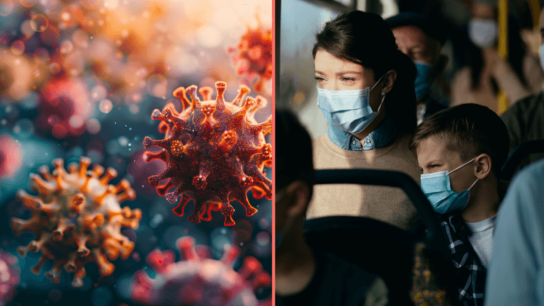 Scientist who predicted Covid says what source of next pandemic will be