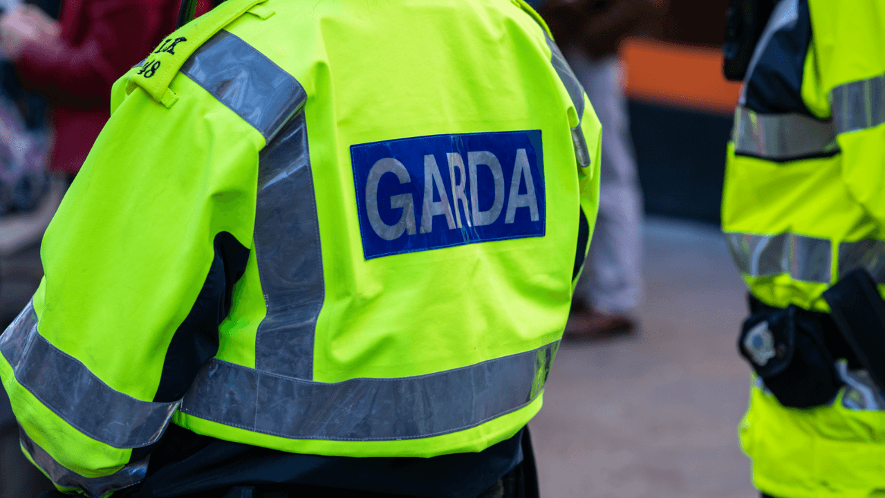 Man and young child found dead in Dublin home