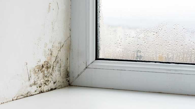 ‘Amazing’ mini dehumidifier keeps damp away during winter – and it’s just €1