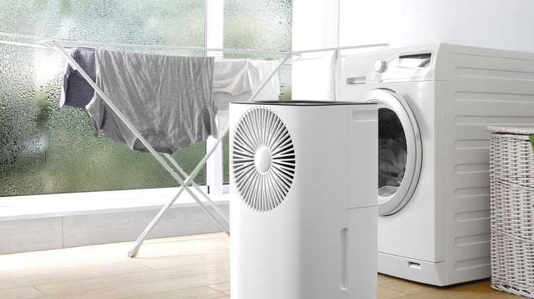 Dehumidifier that ‘gets rid of damp’ drops to its lowest price in months