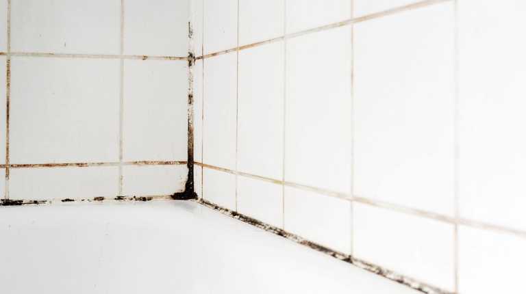 ‘Easy to use’ gadget clears stubborn mould from bathrooms – and it’s just €11