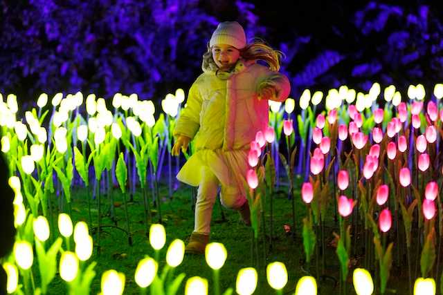 The best Christmas activities that are actually worth the money