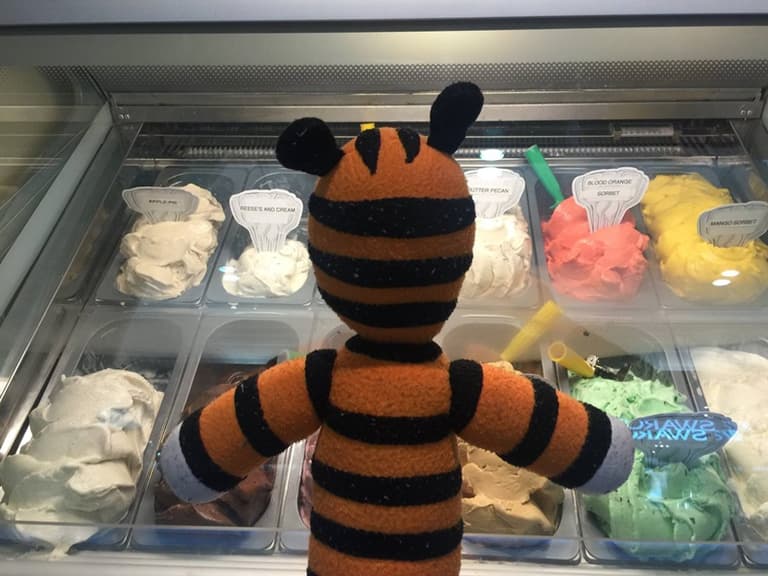 A young boy who lost his teddy at an airport got the BEST surprise