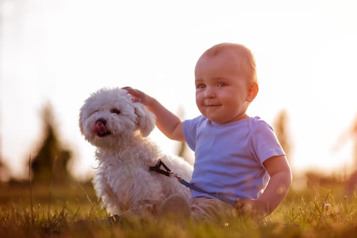 These were the 10 most popular DOG names of 2018