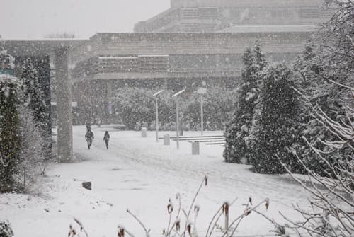 Here’s where will be most affected by the Beast from the East 3