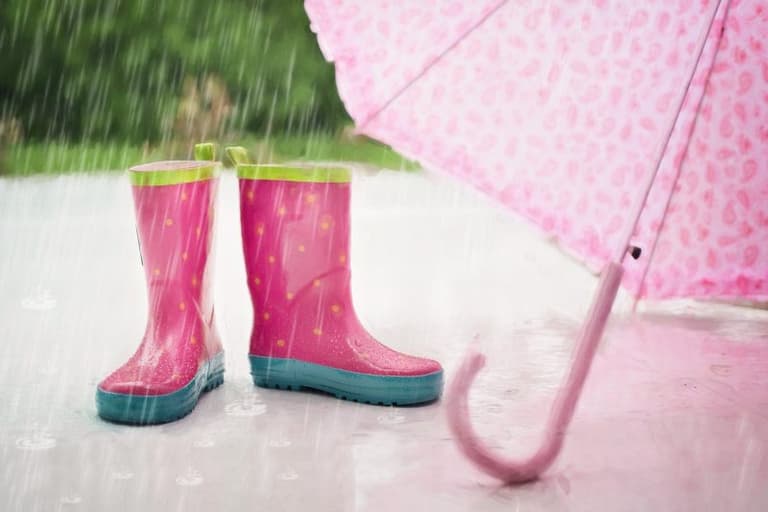 The latest weather report reveals we’re in for a wet and windy day