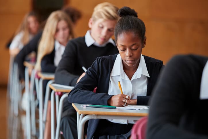 Irish schools to introduce two new Leaving Cert subjects this September