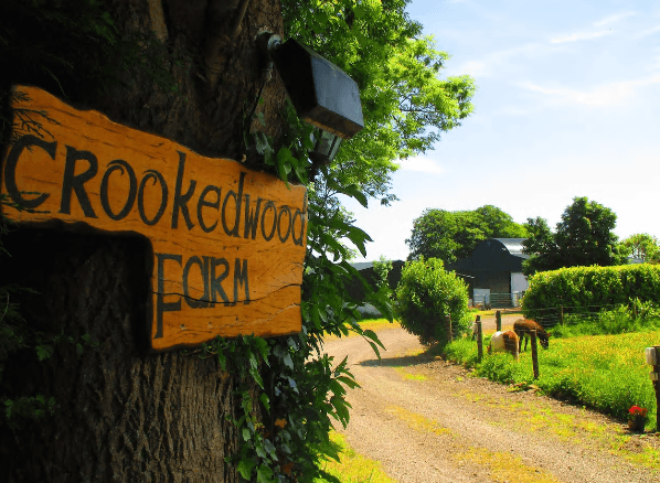 Seven picturesque working farms you and your family can stay at across Ireland
