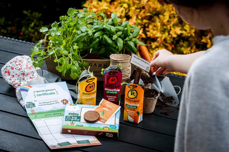 Got a green project in your community? innocent & GIY expand The Big Grow