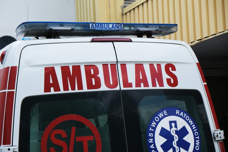 5-year-old Afghan refugee dies in Poland after eating mushrooms