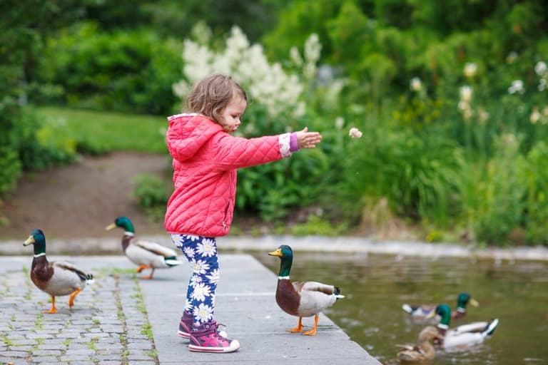 Mum sparks debate after admitting she left 3-year-old daughter alone in the park