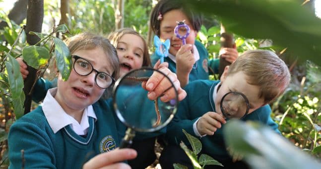 Here’s how your kids can learn about the importance of Irish nature in a fun and interactive way