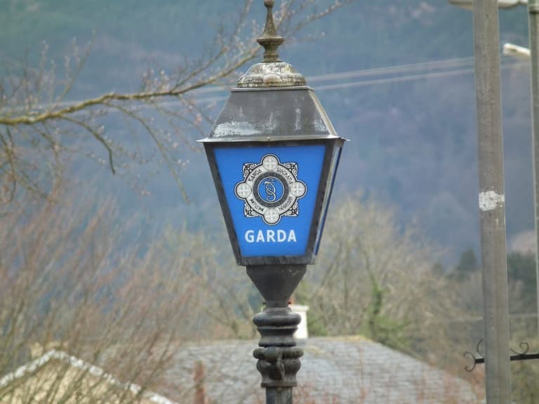 Gardaí not seeking anyone else after death of mother and baby boy in Dublin