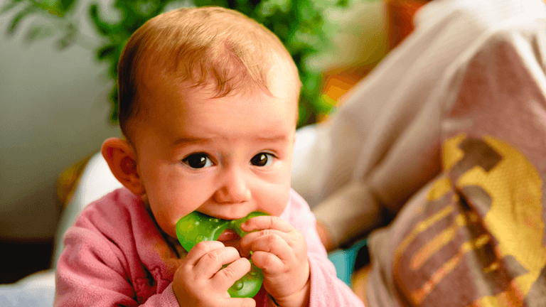 Mum issues warning after discovering mould in Sophie the giraffe teether